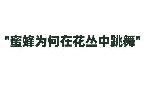 "蜜蜂为何在花丛中跳舞"